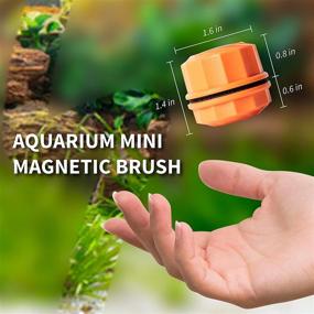 img 3 attached to 🐠 Orlushy Mini Aquarium Magnetic Brush - Glass Fish Tank Algae Cleaner for Freshwater and Saltwater - Orange, Non-Scratch Scraper