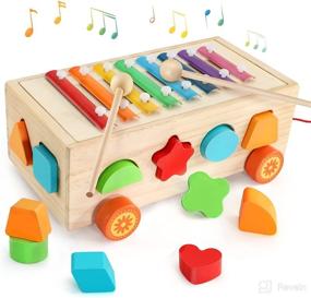 img 4 attached to 🧩 Complete Montessori Toy Set for 1-3 Year Olds: Shape Sorter, Xylophone, and More!