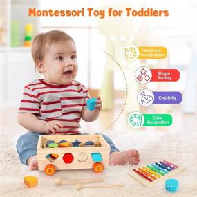 img 1 attached to 🧩 Complete Montessori Toy Set for 1-3 Year Olds: Shape Sorter, Xylophone, and More!