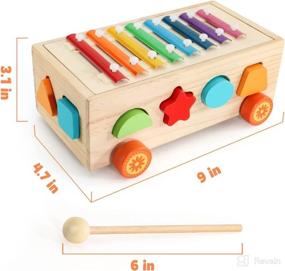 img 2 attached to 🧩 Complete Montessori Toy Set for 1-3 Year Olds: Shape Sorter, Xylophone, and More!