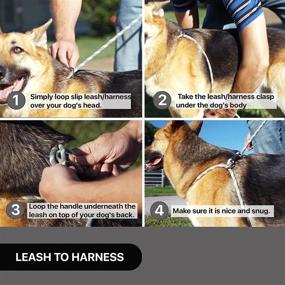 img 3 attached to 🐾 GOLDMANS All in One Leash Harness - Premium 6ft Rope Leash for Dogs - Perfect for Walking, Training, and Exercise - Black