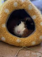 img 1 attached to XL Grey Pet Bed For Small Animals: Guinea Pigs, Hamsters, Hedgehogs & More review by Brian Pius