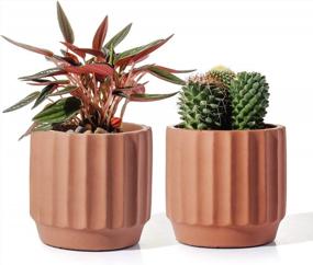 img 4 attached to Set Of 2 Terra Cotta Cement Indoor Plant Pots - 4 Inch Medium Planter Vessels With Drain Hole For Contemporary Decor - Unglazed Pottery By POTEY 202221