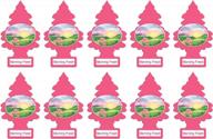 🌳 little trees car air freshener 10 pack - morning fresh scent, hanging paper tree for home or car logo