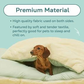 img 2 attached to 🛌 ARRR Dual-Sided Self-Heating & Cooling Pet Crate Bed Mat | Water-Resistant Cushion | Kennel Pad for Small to Medium Cats and Dogs | Fluffy Dog Bed with Washable Blanket | Dog Pillow in Cashmere Blue (M)