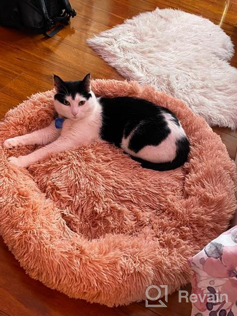 img 1 attached to Cozy And Warm Self-Heating Cat Bed - XZKING Donut Cuddler For Small Dogs And Cats, Washable And Anti-Anxiety review by Chris Cervantes