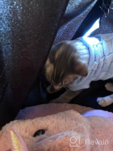 img 1 attached to Cozy Up Your Feline Friend With Our Turtleneck Cat Sweater – Perfect For Kitty, Chihuahua, Teddy, Poodle, Pug And Small Dogs! review by Tony Doolittle