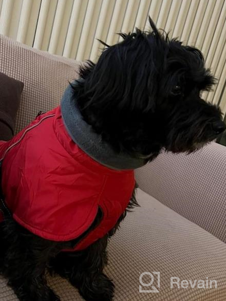 img 1 attached to BRKURLEG Dog Jacket Winter Coat,Turtleneck Reflective Dog Cold Weather Coat With Fleece Lining,Waterproof Warm Padded Doggy Waistcoat,Adjustable Neck Chest Girth Dog Windbreaker Vest For All Breeds review by Alicia Pittmon