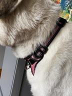 img 1 attached to WINSEE Pet Harness Collar And Leash Set, All-In-One Reflective Dog Harness No Pull With Adjustable Buckles For Puppies, Small, Medium, Large, And Extra-Large Dogs (Small, Black) review by Micael Rau