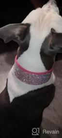 img 6 attached to Soft Velvet Rhinestone Dog Collar With Feminine Charm - Perfect For Medium And Large Female Breeds