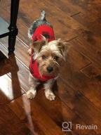 img 1 attached to KYEESE Christmas Dog Sweater Hoodie Reindeer Red Dogs Knitwear Pullover Pet Sweater With Leash Hole Ugly Christmas Dog Sweater For Small Dogs review by Chris Hanson