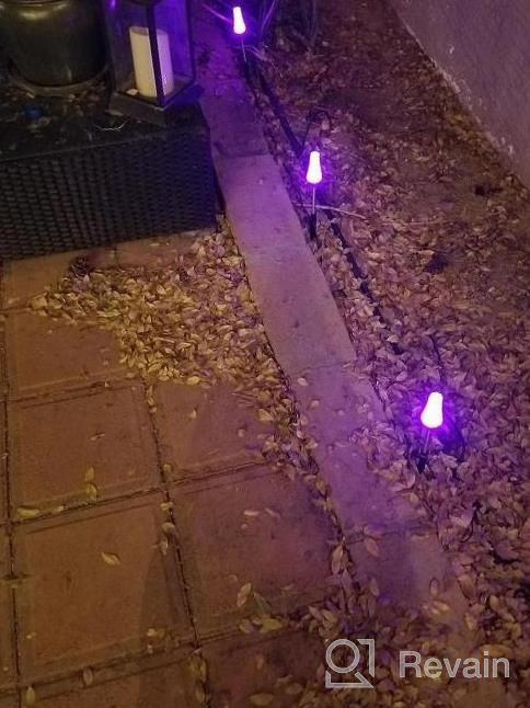 img 1 attached to ECOWHO Color Changing Pathway Lights For Outdoor Landscaping - LED RGB Holiday Lights With IP65 Waterproofing For Yard, Patio, Driveway, And Lawn - Pack Of 4 review by Philip Breeze