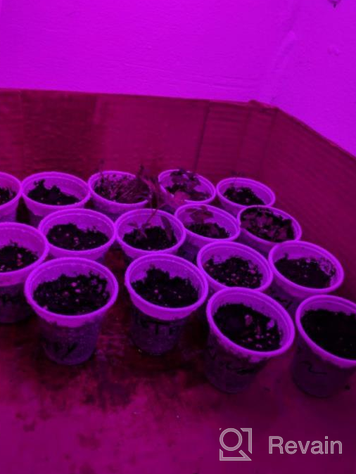 img 1 attached to Enhance Your Indoor Plant Growth With 36W LED Grow Plant Lights: Auto On/Off, 4/8/12H Timer, 8 Dimming Levels, And 3-Head 360 Degree Adjustable Gooseneck Design review by Ashley Rice