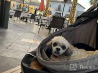 img 1 attached to Hauck Tog Fit Pet Roadster - Perfect For Traveling With Your Furry Friend! review by Faliere Jorge