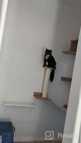 img 7 attached to Wall-Mounted Cat Tree Tower With Sisal Scratching Posts, Interior Condo & Multiple Levels By PawHut