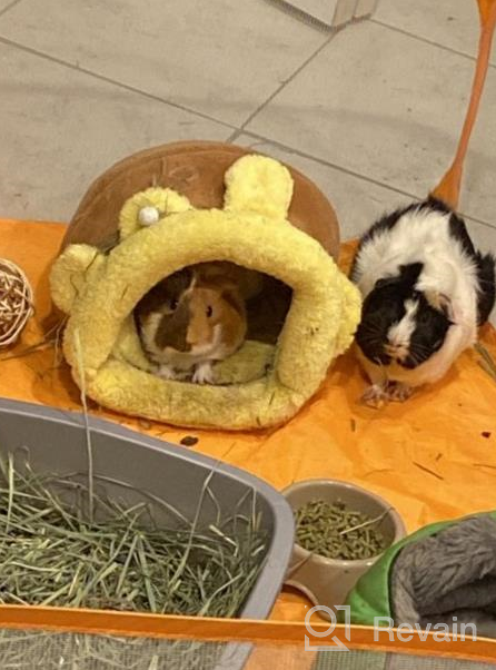 img 1 attached to Cozy Fleece Snuggle Sack Bed For Small Animals - Rabbit, Guinea Pig, Hamster, Chinchilla, Squirrel, Rat - Yellow Bee Design - Ideal For Cage - Size Small review by Craig Kimball