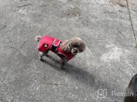 img 1 attached to Waterproof Reflective Winter Dog Jacket With Reversible Stormguard, Windproof Coat For Cold Weather, Warm Coat Vest For Small, Medium, Large Dogs - Red (Size S) By MIGOHI review by Jim Fuhrer