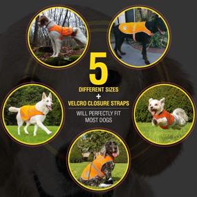 img 2 attached to 🐶 Stay Visible and Safe with 4LegsFriend Dog Safety Orange Reflective Vest - Perfect for Outdoor Activities, Day and Night!