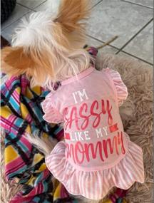 img 2 attached to 🌸 XPUDAC Pet Dog Dress: Cute Pink Angel Dress for Small Dogs and Cats (4 Pieces, Small Size)