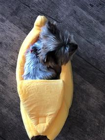 img 1 attached to 🐱 Cute Banana Cat Bed: A Soft Shape Houseboat for All Seasons | Pet Supplies, Cat Cage Accessories & Toys