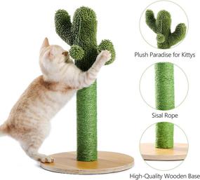 img 2 attached to 🌵 Cactus Cat Scratching Post: Ideal Cat Scratcher for Cats and Kittens - PETEPELA with Natural Sisal Ropes