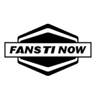 fanstinow логотип