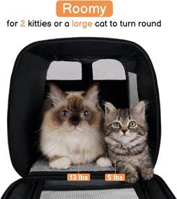 img 2 attached to 🐱 PETNANNY Pet Carrier - Top Load Cat Carrier for Large Cats up to 20 lbs, Soft Dog Carriers for Small Dogs and Puppies with Side Pocket - Spacious & Secure Cat Carrier Bag for 2 Small/Medium Cats