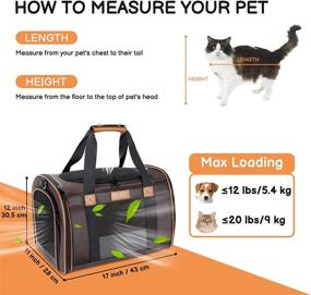 img 3 attached to 🐱 PETNANNY Pet Carrier - Top Load Cat Carrier for Large Cats up to 20 lbs, Soft Dog Carriers for Small Dogs and Puppies with Side Pocket - Spacious & Secure Cat Carrier Bag for 2 Small/Medium Cats