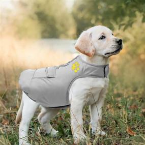 img 3 attached to 🐾 Doggiekit Reversible Dog Winter Coat, Waterproof and Windproof Warm Dog Jacket Vest for Cold Weather, Lightweight Pet Winter Clothes for Medium to Large Dogs (X-Large, Gray)