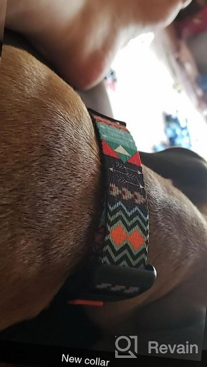 img 1 attached to Trendy Yet Practical: Adjustable Tribal Dog Collar With A Quick Release Buckle For Small To Large Breeds review by Jasmin Rojas