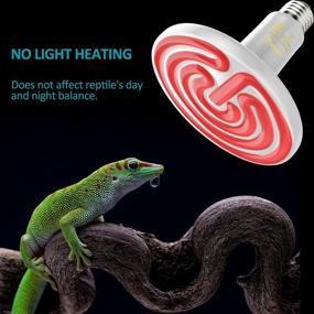 img 1 attached to Ceramic Heat Emitter Reptiles & Amphibians better for Terrarium Heat Lamps & Mats