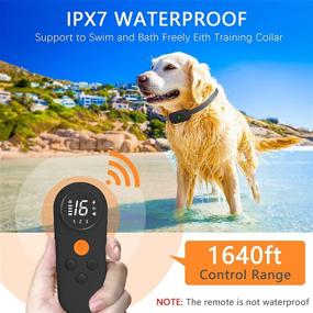 img 1 attached to 🐕 NITOWOLF Lightweight Dog Shock Collar with Remote - Ultimate Training Solution for 10-110lbs Dogs