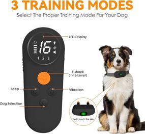 img 2 attached to 🐕 NITOWOLF Lightweight Dog Shock Collar with Remote - Ultimate Training Solution for 10-110lbs Dogs