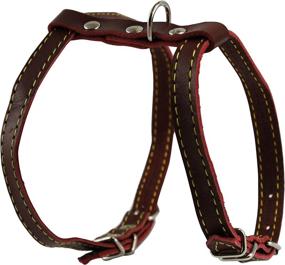 img 3 attached to 🐱 High-Quality Real Leather Feline Harness for Small to Medium Cats - 12"-15" Chest Size, 3/8" Wide