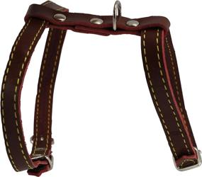 img 2 attached to 🐱 High-Quality Real Leather Feline Harness for Small to Medium Cats - 12"-15" Chest Size, 3/8" Wide