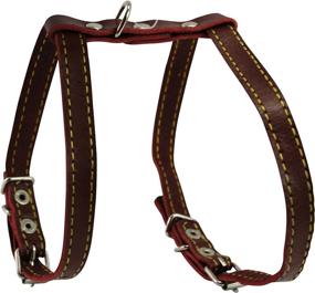 img 1 attached to 🐱 High-Quality Real Leather Feline Harness for Small to Medium Cats - 12"-15" Chest Size, 3/8" Wide