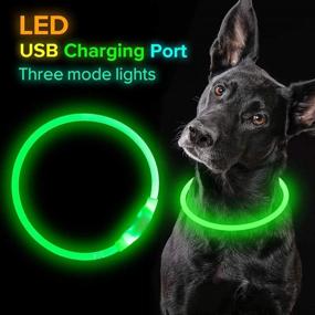 img 1 attached to 🐶 BSEEN LED Dog Collar: USB Rechargeable, Illuminating Pet Collar for Night Safety, Stylish Light-up Collar for Small, Medium, and Large Dogs