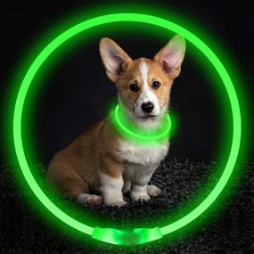 img 3 attached to 🐶 BSEEN LED Dog Collar: USB Rechargeable, Illuminating Pet Collar for Night Safety, Stylish Light-up Collar for Small, Medium, and Large Dogs