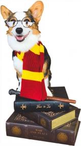 img 4 attached to XL Red And Yellow Striped Dog Scarf - ComfyCamper Pet Costume Clothes