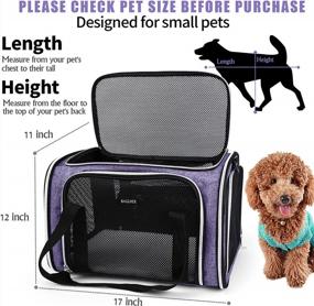 img 2 attached to Airline Approved Soft-Sided Pet Carrier For Small To Medium Cats, Dogs And Puppies - Foldable And Collapsible Dog Carrier And Cat Travel Bag By BAGLHER In Purple