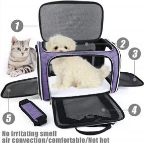 img 3 attached to Airline Approved Soft-Sided Pet Carrier For Small To Medium Cats, Dogs And Puppies - Foldable And Collapsible Dog Carrier And Cat Travel Bag By BAGLHER In Purple