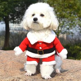 img 3 attached to 🎅 Bolbove Pet Christmas Santa Claus Suit Costume for Small Dogs Cats - Winter Coat Warm Clothes (Red, Small)