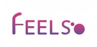 feelso логотип