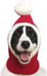 warm and festive: x-large red christmas dog hat costume for golden retrievers and labradors logo