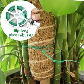 img 1 attached to Ultimate Moss Pole Monstera Set: 80Inch Pole With 2 Pack 24Inch And 2 Pack 16Inch Coir Totem Plant Support For Indoor Climbing Plants.