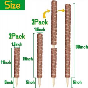 img 3 attached to Ultimate Moss Pole Monstera Set: 80Inch Pole With 2 Pack 24Inch And 2 Pack 16Inch Coir Totem Plant Support For Indoor Climbing Plants.