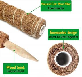 img 2 attached to Ultimate Moss Pole Monstera Set: 80Inch Pole With 2 Pack 24Inch And 2 Pack 16Inch Coir Totem Plant Support For Indoor Climbing Plants.