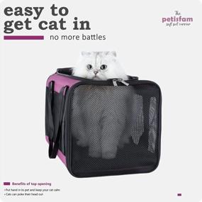 img 3 attached to Viva Magenta Soft Pet Carrier: Perfect Solution For Large And Medium Cats And Small Dogs