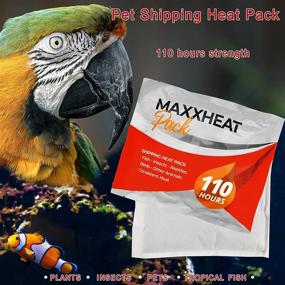 img 2 attached to 🔥 South Shore Retail, LLC 110 Hour Heat Pack for Shipping - Fish, Insects, Reptiles, Birds, and Other Animals – Consistent Heat