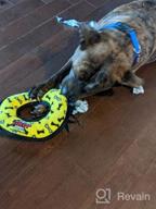 img 1 attached to Red Paw Junior TUFFY Ultimate Durable Dog Toy Ring review by Ray Adair